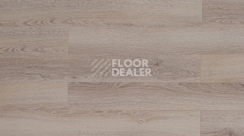 Ламинат Floorway Standart 12мм YLM-2869 Дуб Дубай фото 1 | FLOORDEALER